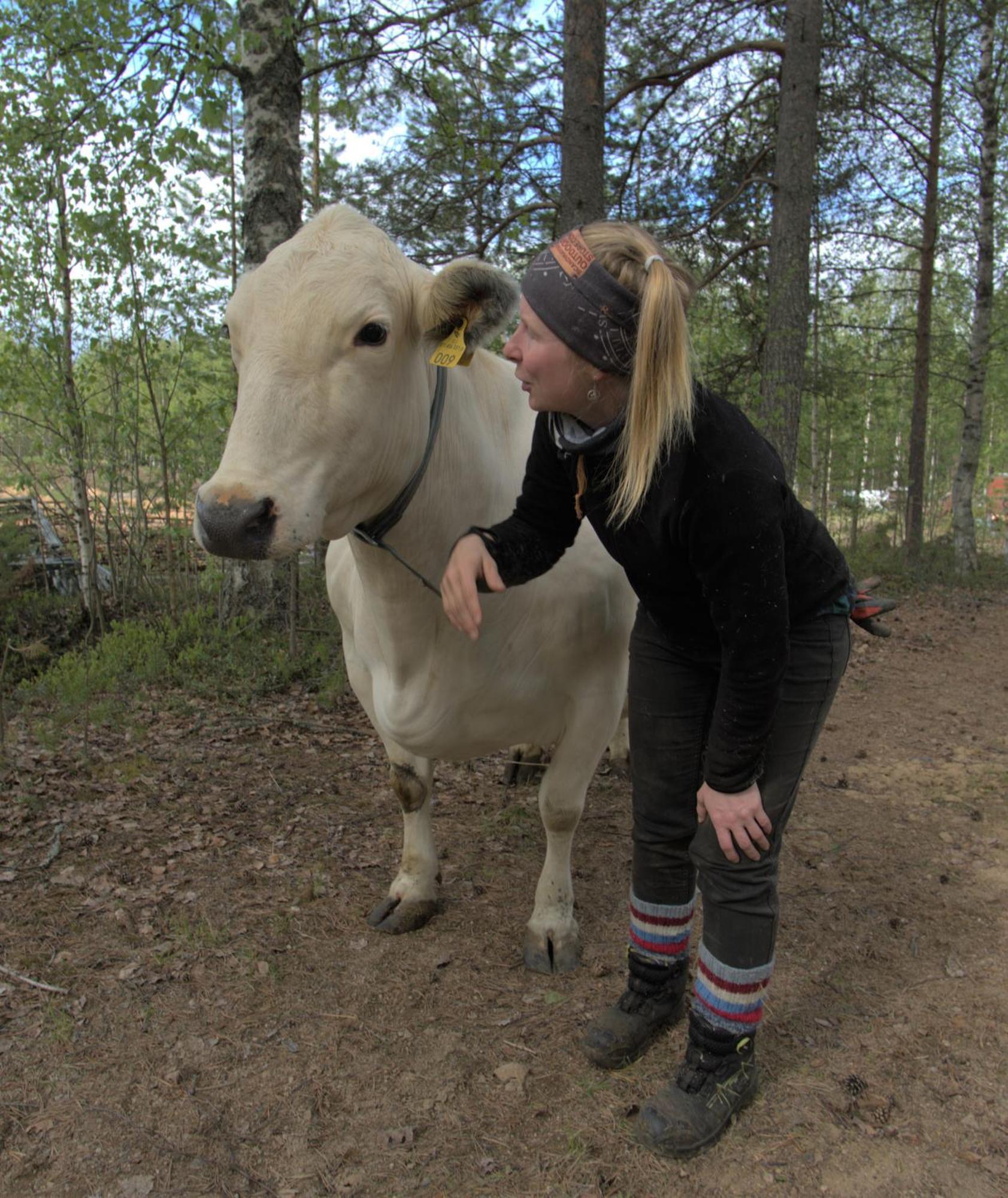 Heidin Mummola Farm Villa Пело Екстериор снимка