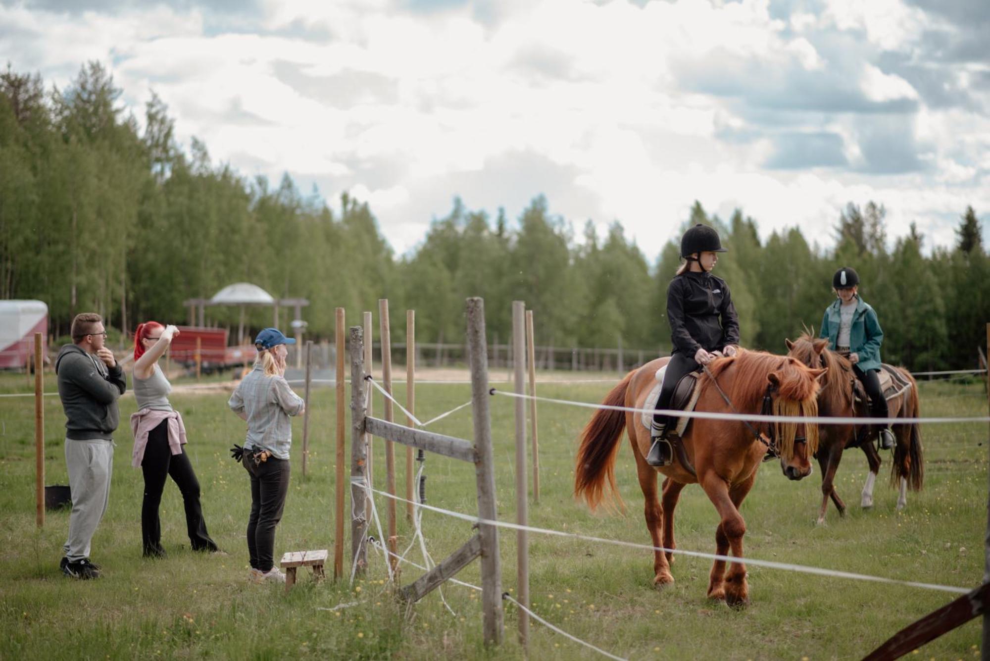 Heidin Mummola Farm Villa Пело Екстериор снимка
